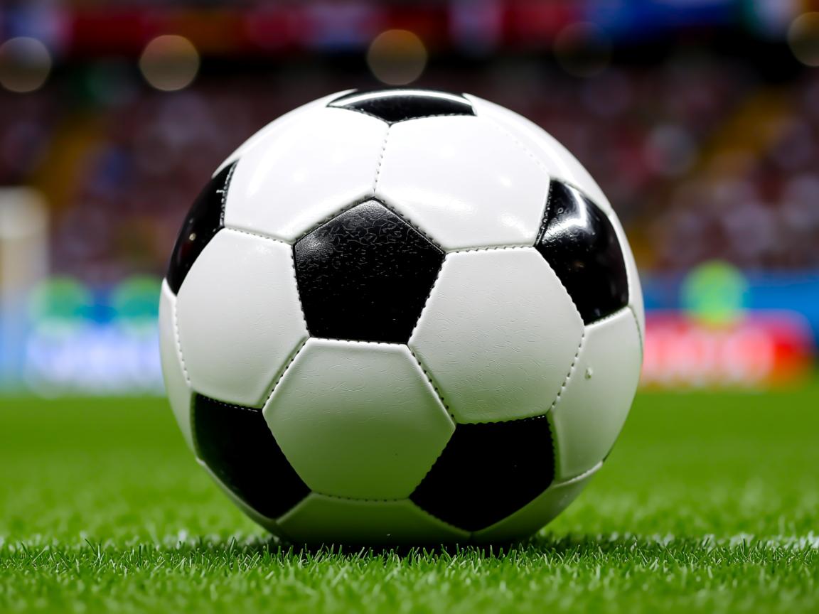 开云体育官网上-奥预赛中国女足夺冠 球迷共同庆祝辉煌，中国女足奥预赛成绩  第2张